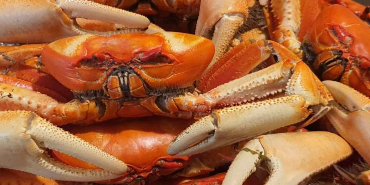 Untitled design (23)