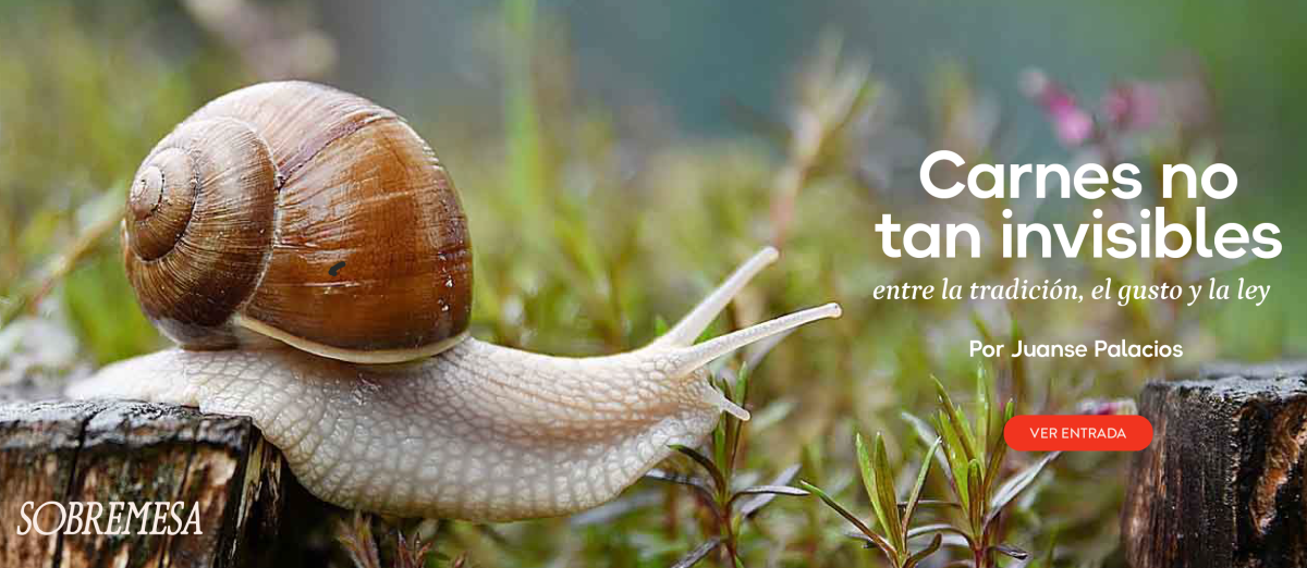 Website banners juanse-01